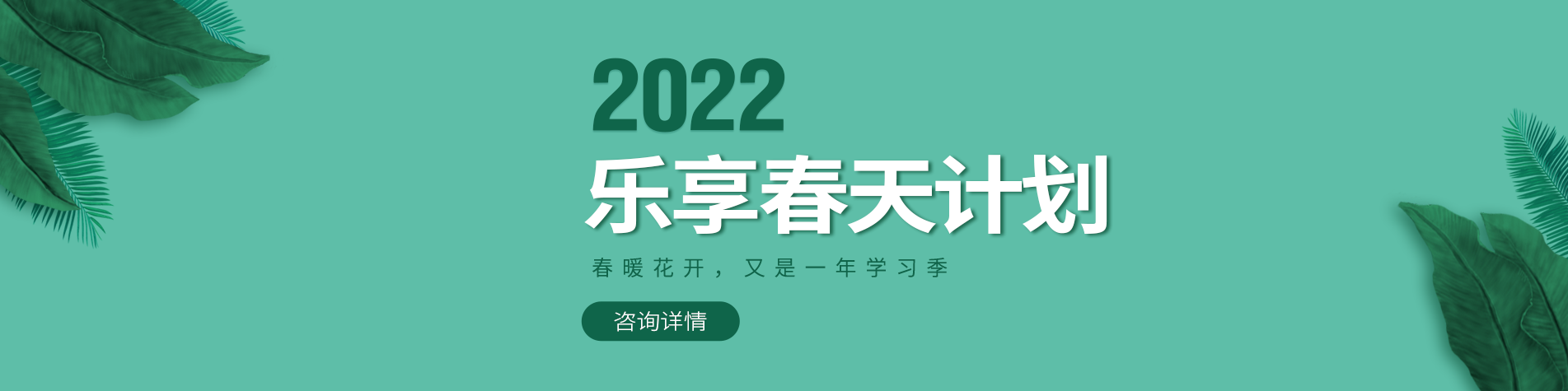 大鸡巴操骚穴在线观看